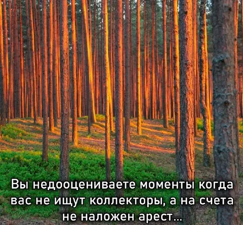 Когда не ищут коллекторы