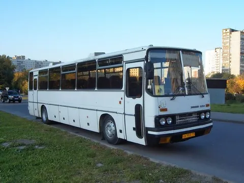 Белый городской автобус