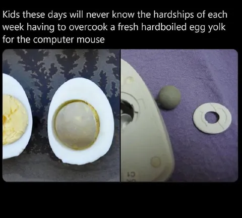 Overcooked Egg Yolk Mouse Repair