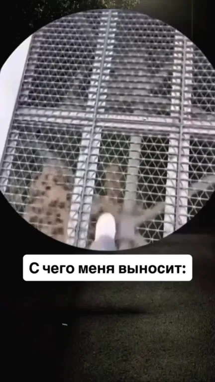 С чего меня выносит на высоте