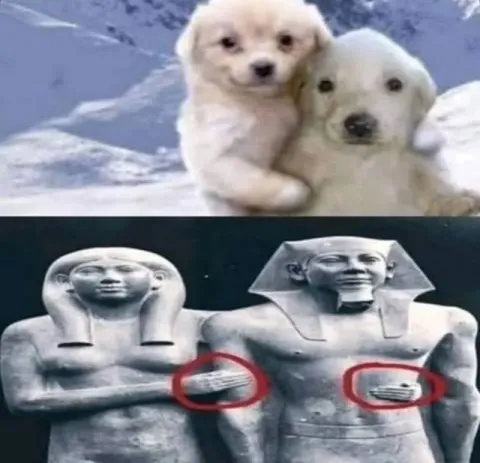 Щенки и древние статуи