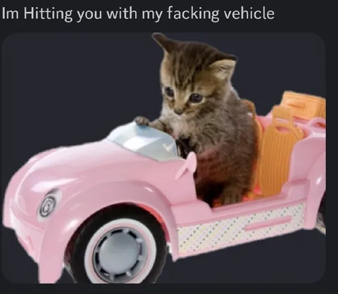 Kitten Hits You With Car