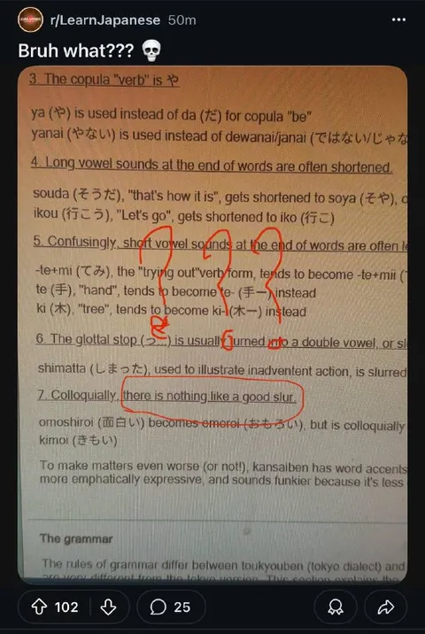 Japanese Grammar Makes No Sense
