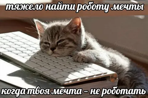 Работа мечты — не работать