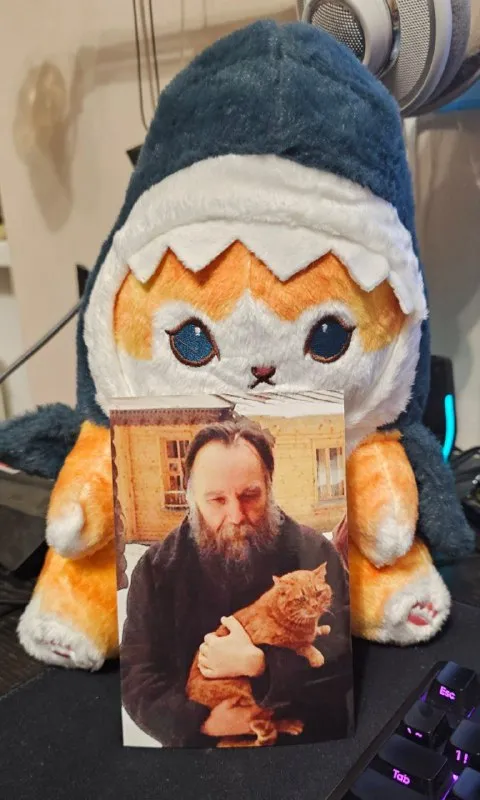 Кот держит кота на фото
