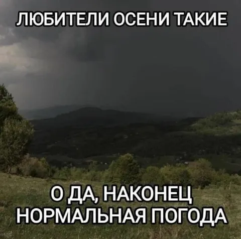 Любители осени радуются дождю