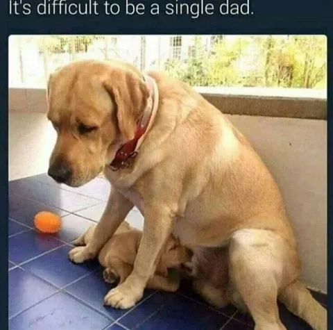 Single Dad Has It Difficult