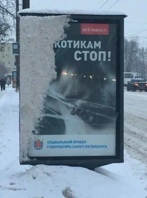 Котикам стоп