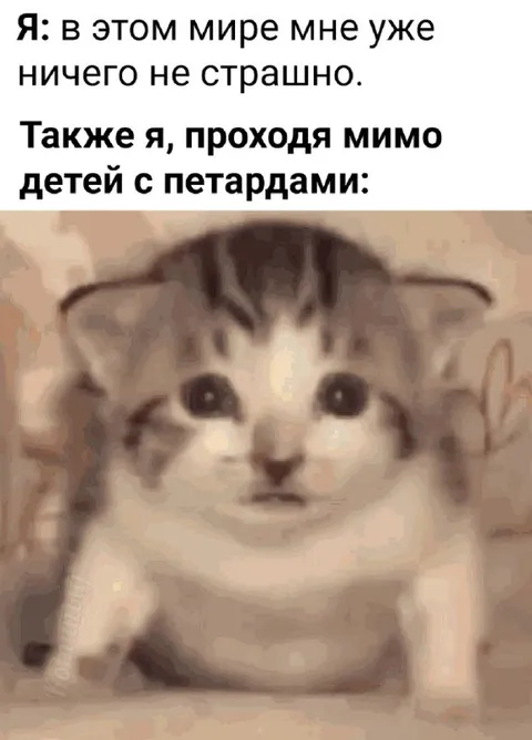 Кот боится петард
