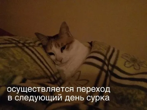 Переход в следующий день сурка