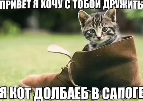 Кот-долбаеб в сапоге