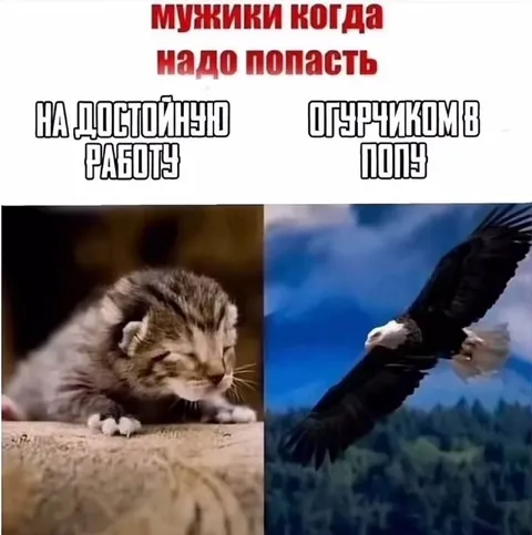 Мужики и достойная работа