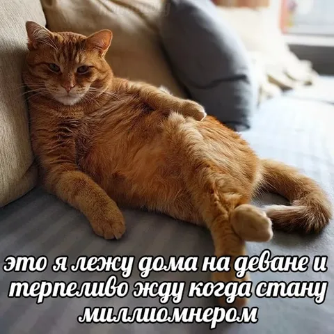Жду, когда стану миллионером