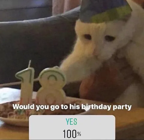 Cat Birthday Party RSVP