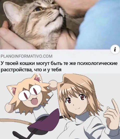 Психологические расстройства у кошки