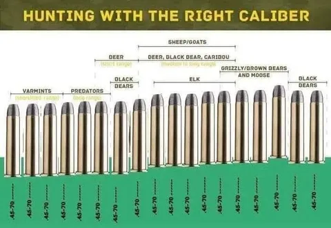 Hunting With the Right Caliber