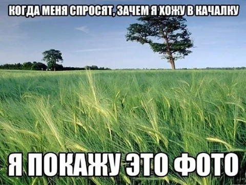 Зачем я хожу в качалку