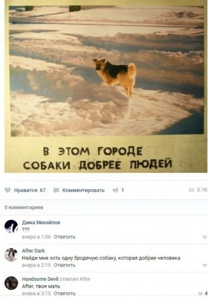 Собаки добрее людей