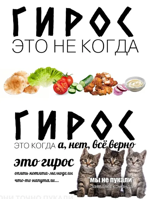 Котята перепутали гирос