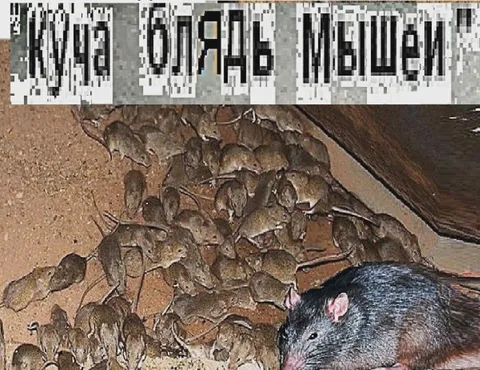 Куча мышей на складе