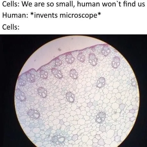 Cells Discover the Microscope