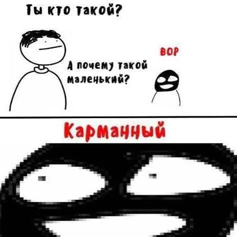 Карманный вор