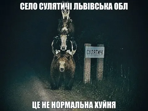 Село Сулятичі та ведмеді