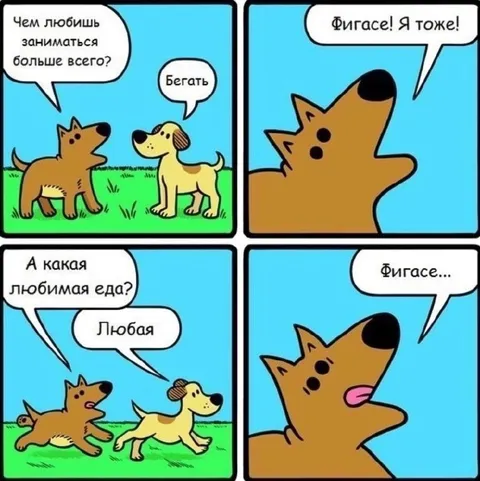 Фигасе, я тоже люблю всё