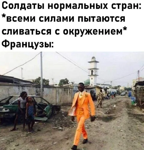 Французы сливаются с окружением