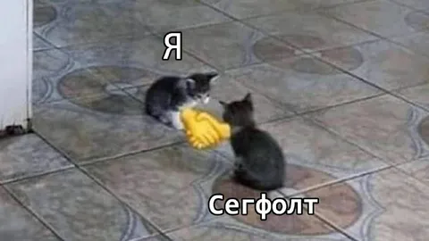 Я и сегфолт
