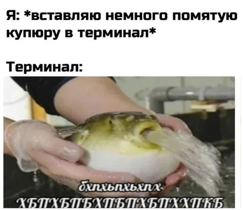 Помятая купюра в терминале