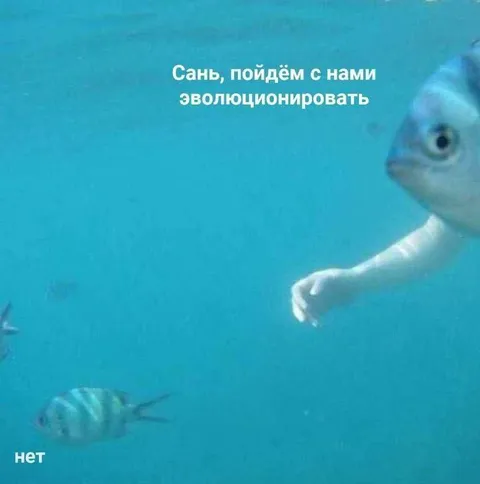 Пойдём эволюционировать