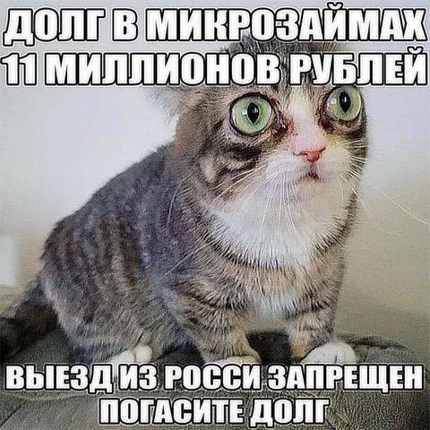 Долг в микрозаймах
