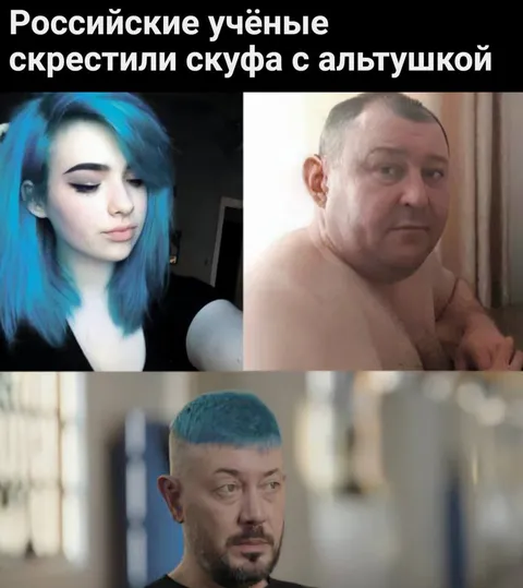 Учёные скрестили скуфа с альтушкой