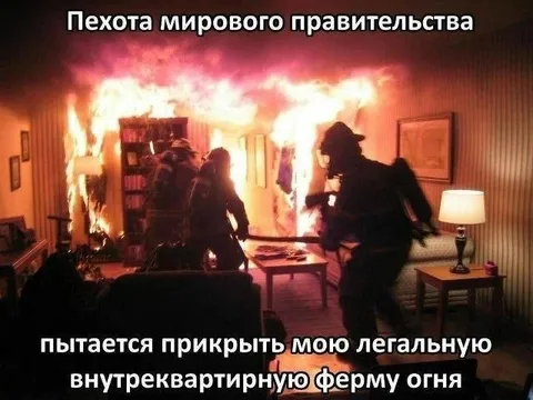 Легальная внутриквартирная ферма огня