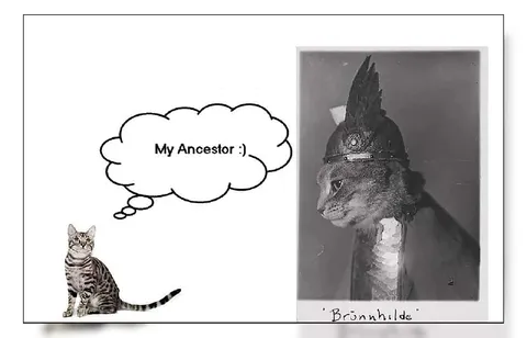 My Ancestor Cat Portrait