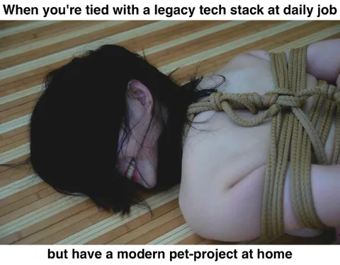 Legacy Tech Stack, Modern Pet Project