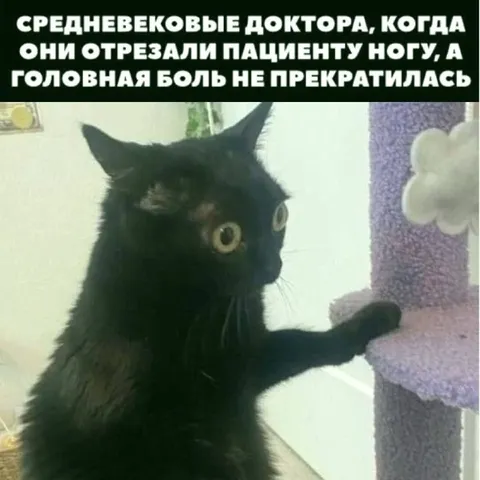 Средневековые доктора и головная боль