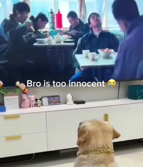 Bro Is Too Innocent