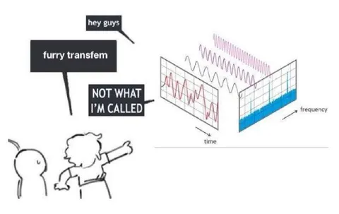 Furry Transfem Fourier Transform
