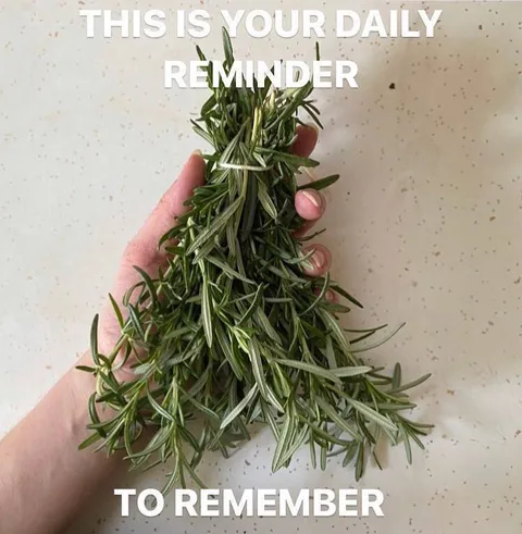 This Is Your Daily Reminder
