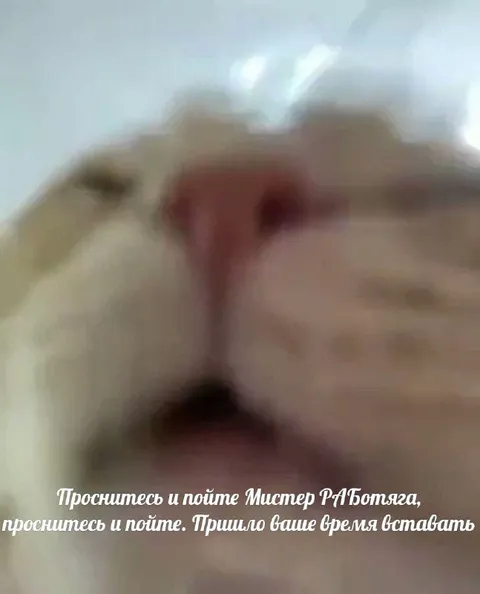 Проснитесь и пойте, мистер работяга
