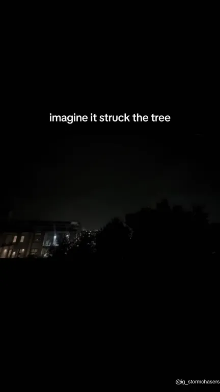 Lightning Strikes the Tree