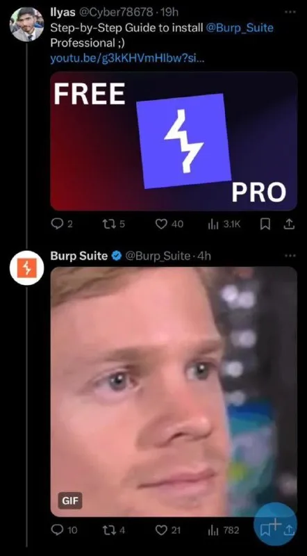 Free Burp Suite Professional
