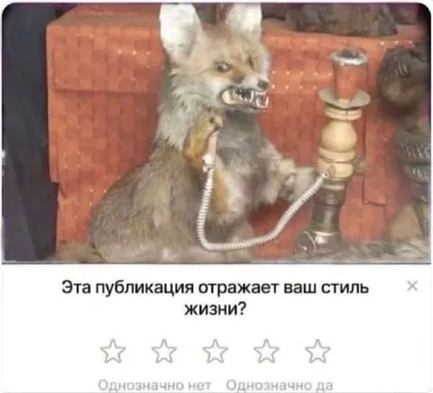 Кролик с кальяном и рейтингом