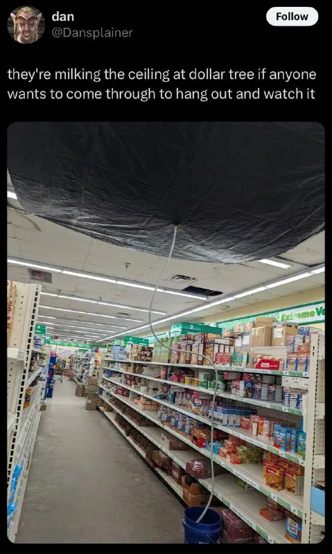 Milking the Dollar Tree Ceiling