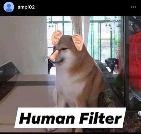 Dog Wearing a Human Filter