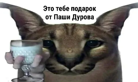 Подарок от Паши Дурова