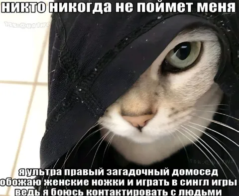 Ультраправый загадочный домосед