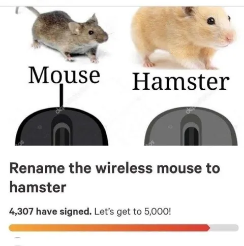 Rename the Wireless Mouse to Hamster